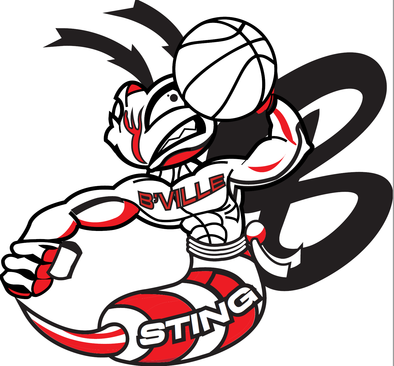 Baldwinsville Sting Basketball
